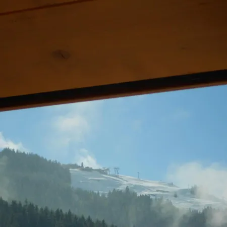 Apartamento Haus Petra Leogang