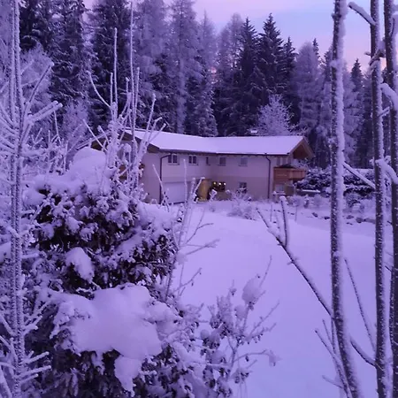 Apartamento Haus Petra Leogang